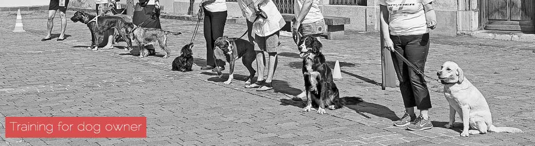 Dog owners-Monthey-Switzerland